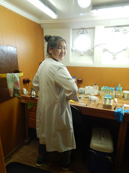 367 В лабораториях на НИС Верещагин, фитопланктон (Диана)